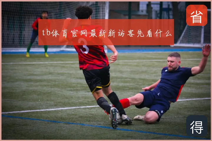 tb体育官网最新新访客先看什么